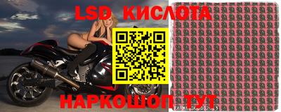 МДПВ Краснодар