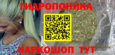 индика Краснознаменск