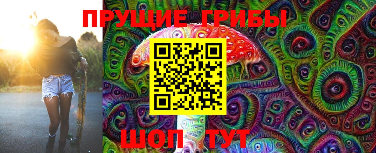 Горячий Ключ  Псилоцибиновые грибы Psilocybine cubensis  Вход с VPN 