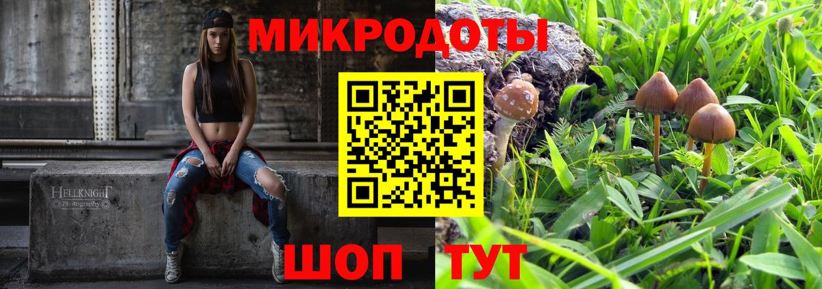 Псилоцибиновые грибы Cubensis Горячий Ключ